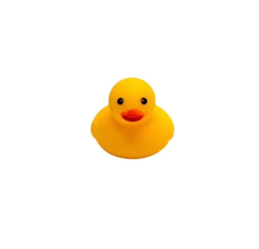 Toy. Rubber duck.