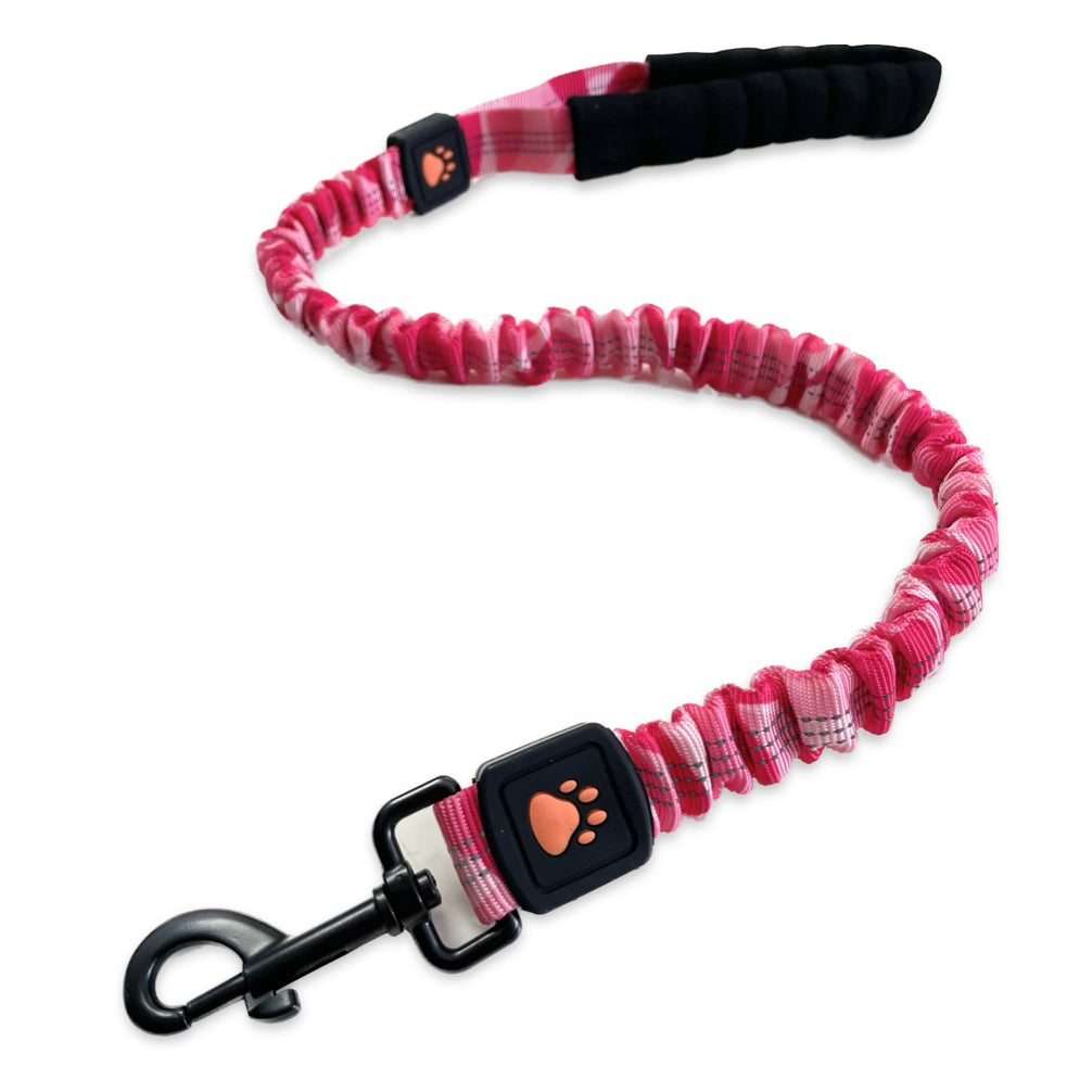 Pet leash